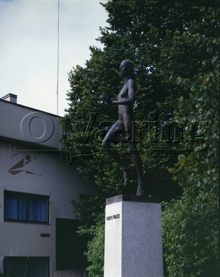 Nils Aas, 1984