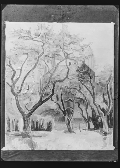 Glassplate og negativ film