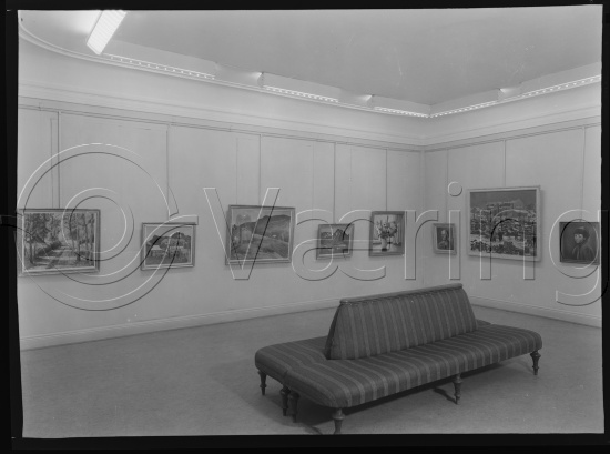 Glassplate og negativ film