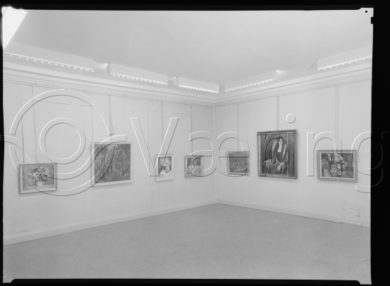 Glassplate og negativ film