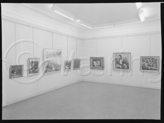 Glassplate og negativ film