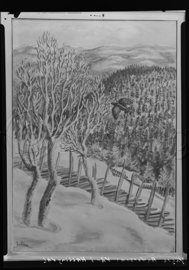 Glassplate og negativ film