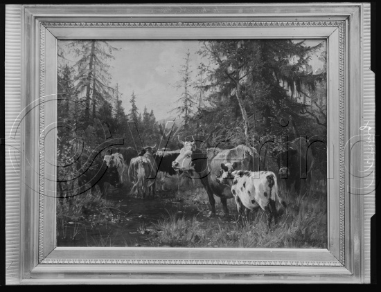 Glassplate og negativ film