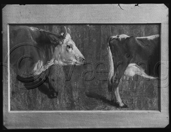 Glassplate og negativ film