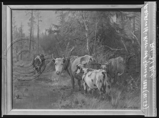 Glassplate og negativ film