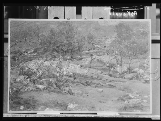 Glassplate og negativ film
