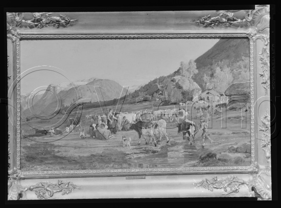 Glassplate og negativ film