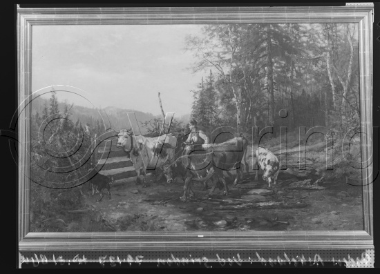 Glassplate og negativ film