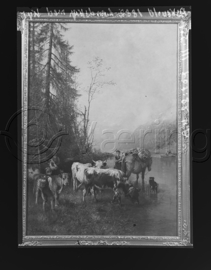 Glassplate og negativ film