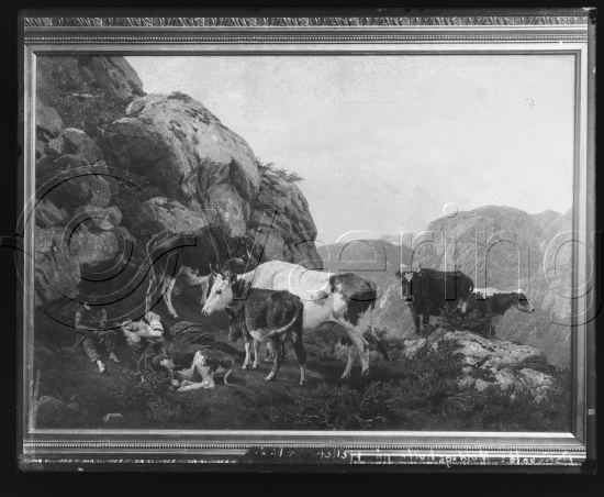 Glassplate og negativ film