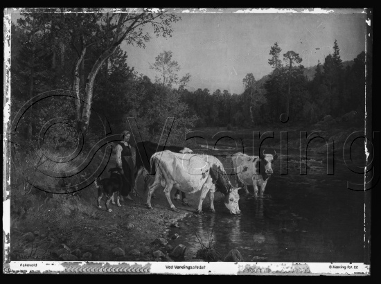 Glassplate og negativ film