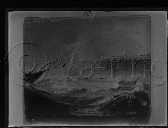 Glassplater og negativ film