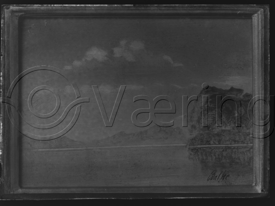 Glassplater og negativ film