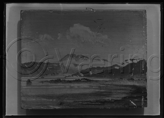Glassplater og negativ film