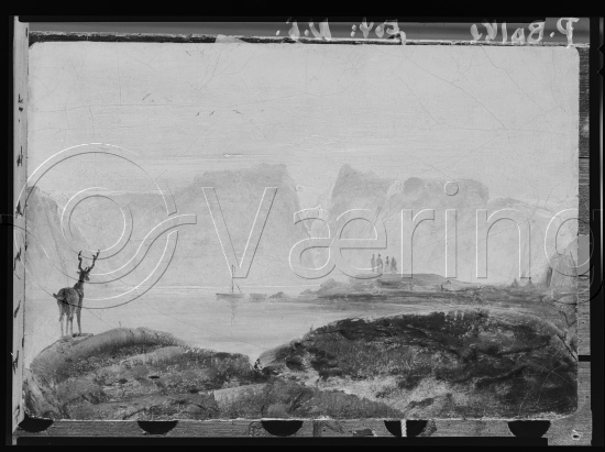 Glassplate og negativ film