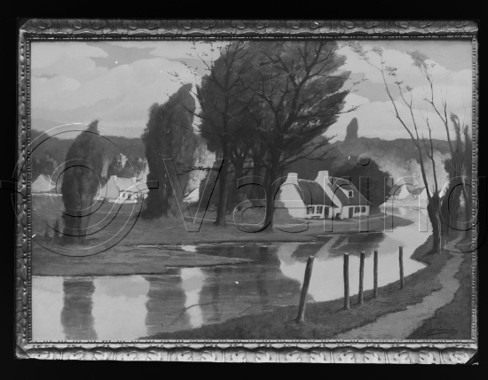 Glassplate og negativ bladfilm