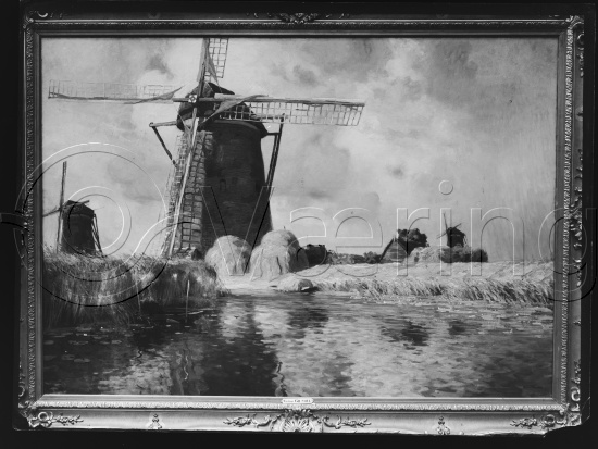 Glassplate og negativ bladfilm