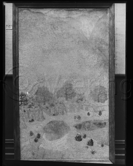 Glassplate og negativ bladfilm