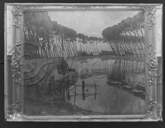 Glassplate og negativ bladfilm