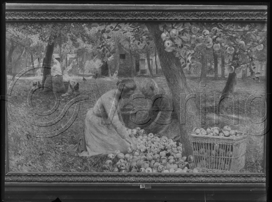 Glassplate og negativ bladfilm