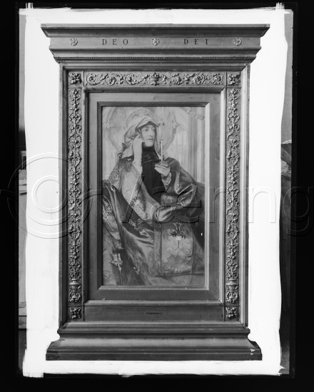 Glassplate og negativ bladfilm