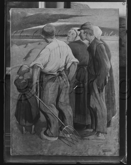 Glassplate og negativ bladfilm