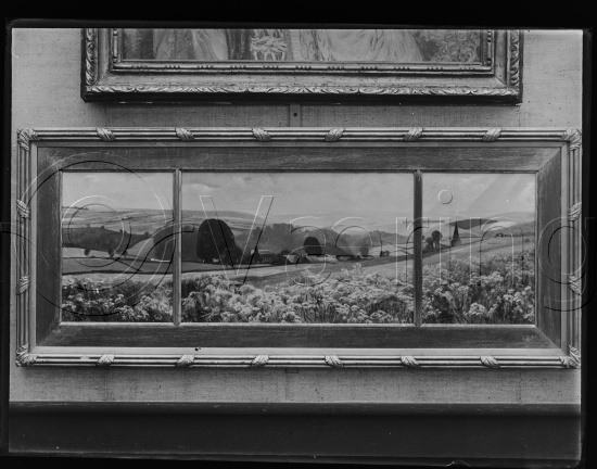 Glassplate og negativ bladfilm