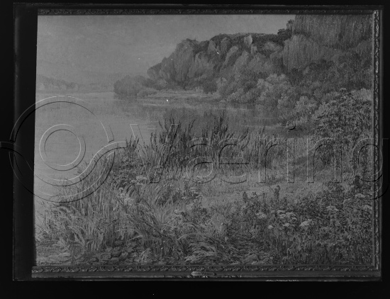 Glassplate og negativ bladfilm