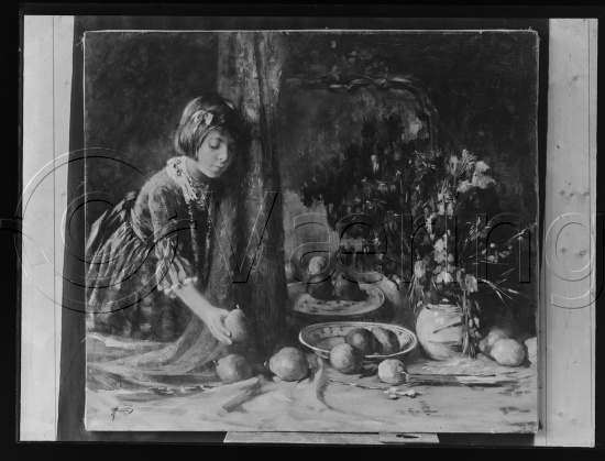 Glassplate og negativ bladfilm