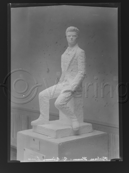 Glassplate og negativ film