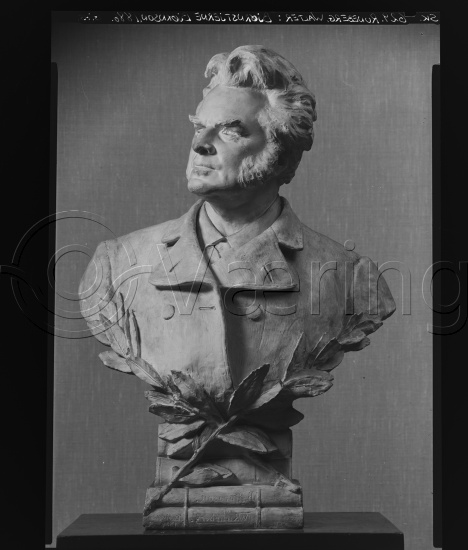 Glassplate og negativ film