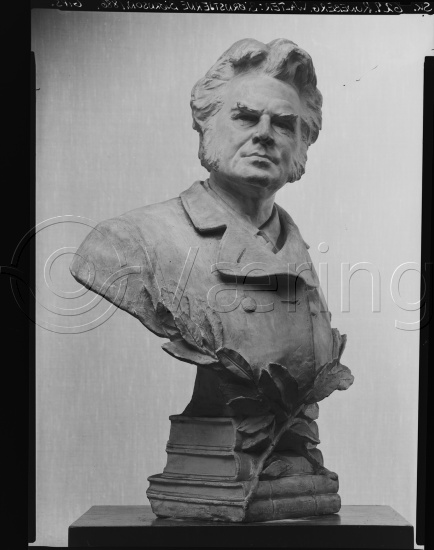 Glassplate og negativ film