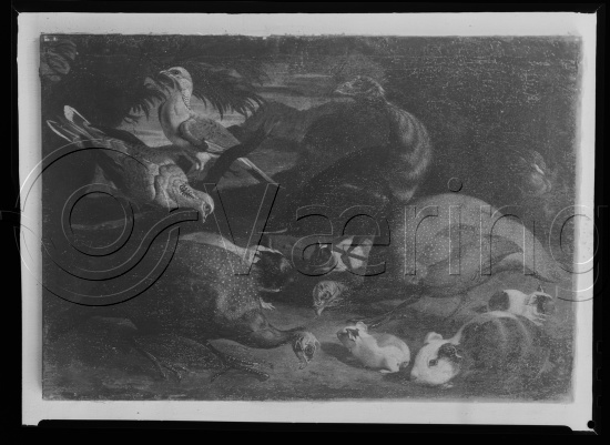 Privat samling / Internasjonal kunst