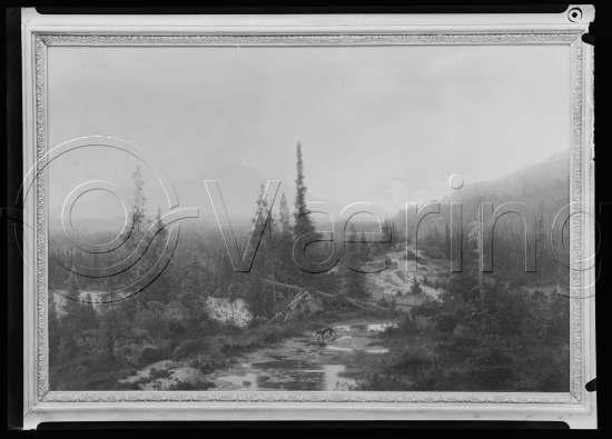 Glassplate og negativ film