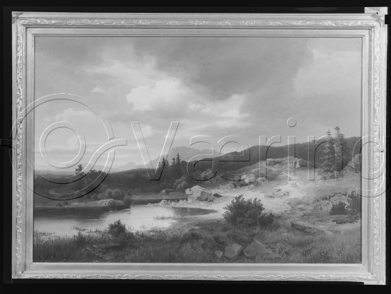 Glassplate og negativ film