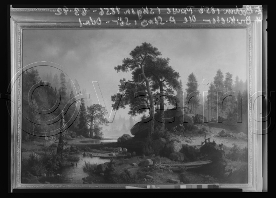 Glassplate og negativ film