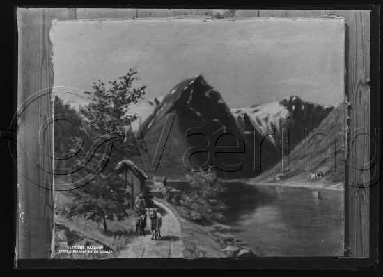 Glassplate og negativ film / Esefjord, Balholm efter maleri av Erika Bodom