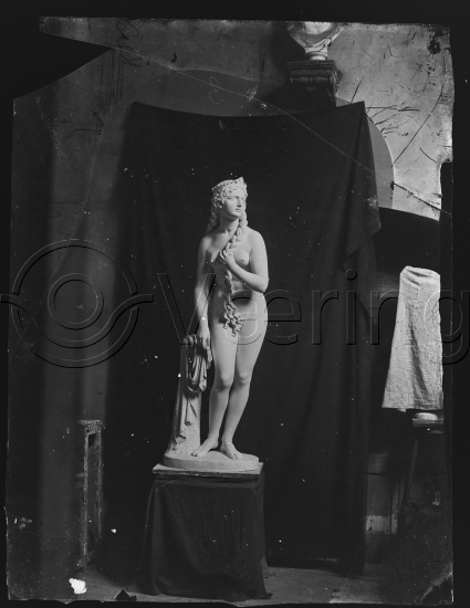 Glassplate og negativ bladfilm