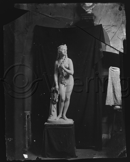 Glassplate og negativ bladfilm