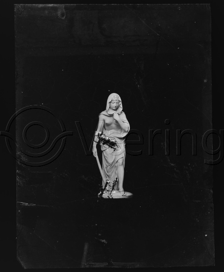 Glassplate og negativ bladfilm