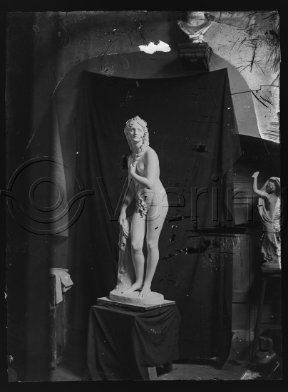 Glassplate og negativ bladfilm