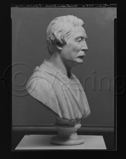 Glassplate og negativ bladfilm