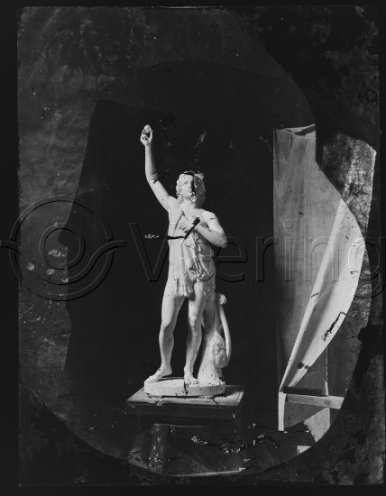 Glassplate og negativ bladfilm