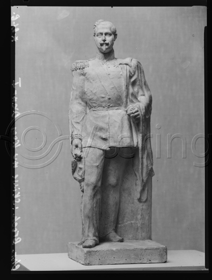 Glassplate og negativ bladfilm