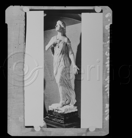 Glassplate og negativ bladfilm