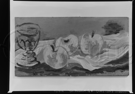 Glassplate og negativ film