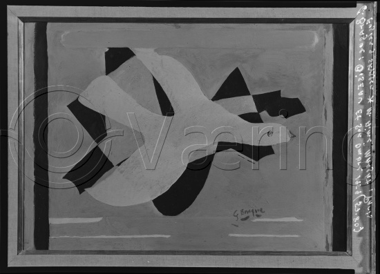 Glassplate og negativ film