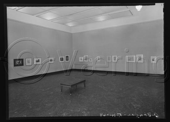 Glassplate og negativ film