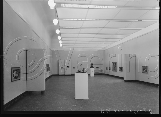 Glassplate og negativ film