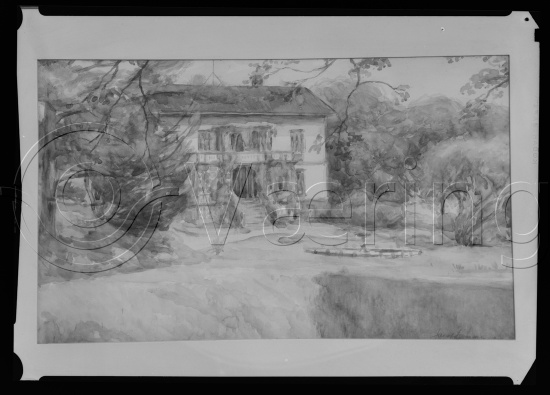 Glassplate og negativ film